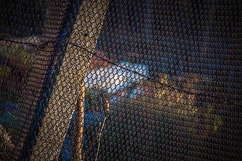 fence, fence Grid, chain-link, texture, chain-link Fence, barrier, demarcation, link, pattern, iron, metal
