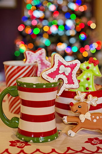 pohár, džbánek, horká čokoláda, horké kakao, cookies, vánoční cukroví, cukroví, Vánoce, jídlo, Dovolená, zachází