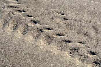 Ungheria, Baranya, drava, fiume, sabbia, parte