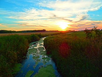 sunset, meadow, stream, grasslands, tranquil, water channel, lush green, meandering, natural landscape, rural scene, evening light