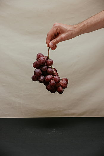 struguri, Mâna ține struguri, struguri coapte, struguri roșii, fundal neutru, ținută delicat, grămadă de struguri, fructe fotografie, alimente fotografice, natură moartă, iluminatul natural