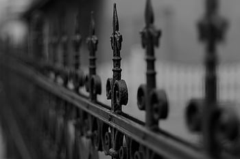 black metal fence, decorative wrought iron, black and white photo, shallow depth of field, artistic photography, metal fence, wrought iron fence, black fence, metal railing, decorative fence, black and white image