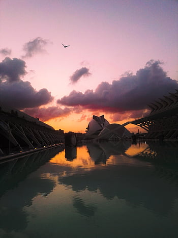 city Of Arts And Sciences, sunset, valencia, nature, spain