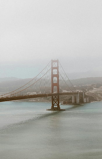 Golden Gate Bridge, San Francisco, California, aerial view, fog, Marin County, bridge, water, landscape, cityscape, architecture