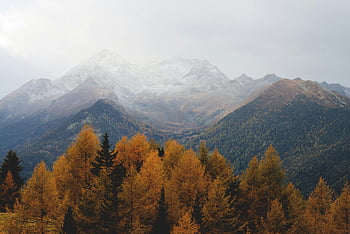 luftfotografering, bjerg, efterårsløv, Misty Peaks, fantastisk udsigt, bjerge, falde farver, naturlandskab, naturskøn udsigt, udendørs sceneri, skovklædte bjerge