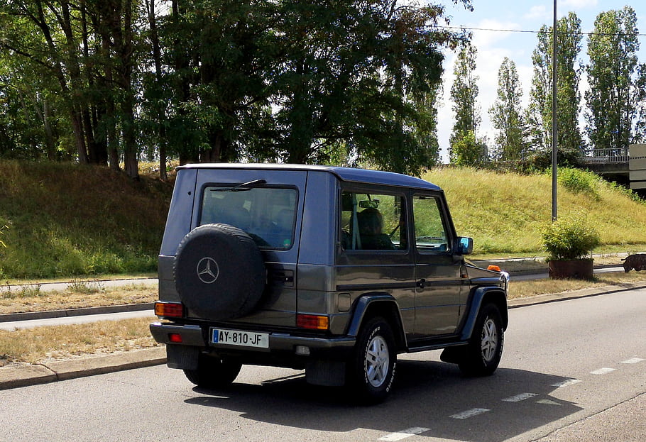 mercedes g-class, suv, terénním vozidlem, rezervní kolo, silnice, stromy, venkovní, vozidlo, auto, řízení, poznávací značka