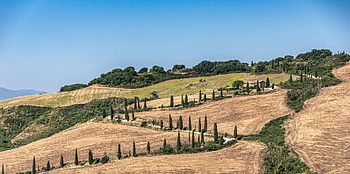 hill, fields, val D'orcia, farm, land, cypress Trees, trees, countryside, rural, landscape, nature