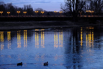 river, water, ducks, river Bank, nature, munich, bavaria, germany, upper Bavaria, thalkirchen