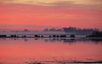 Donana, Nemzeti Park, rózsaszín, víz, tó, madarak, le-, Napkelte, napnyugta, fák, természet
