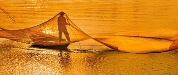 pescatore, netto, mare, barca, pesca, tramonto, Alba, rete da pesca, fiume, acqua, natura