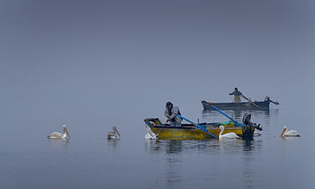 boat, fisher, fishing, lake, fisherman, nature, vintage, nautical, transport, mood, blue Fish