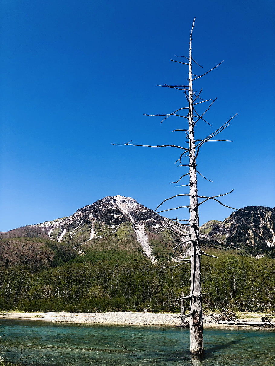 Japonsko, řeka, hora, nebe, strom, mír, krajina, letní, cestovat, relaxovat, země nikoho