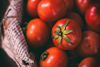 červená rajčata, cherry rajčata, zralá rajčata, šťavnatá rajčata, Detailní rajčata, pozadí novin, čerstvá rajčata, organické rajčata, zdravé jídlo, zeleninové fotografie, fotografování potravin