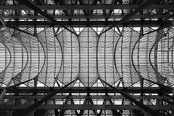 low-angle photo, grey metal structure, black and white, modern building, intricate steel ceiling, architectural design, steel beams, geometric patterns, industrial architecture, ceiling structure, monochrome photography