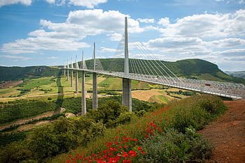 bridge, architecture, toll Bridge, france, millau, controlled Access Highway, poppies, landscape, construction