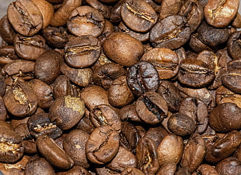 caffè, chicchi di caffè, caffeina, Tempo del caffè, bar, avvicinamento, chicchi di caffè tostato, caffè brasiliano, caffè in polvere, barista, caffetteria