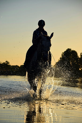sunset horseback riding, golden hour, water splash, silhouette rider, dramatic scene, horse walking, body of water, sunset silhouette, equestrian activity, outdoor adventure, nature photography
