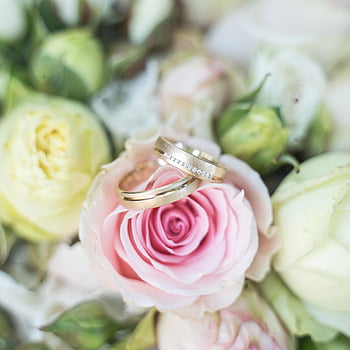 wedding, wedding Rings, wedding Decor, deco, decoration, gold Rings, to Marry, jewellery, engagement Ring, rings, wedding Jewelry