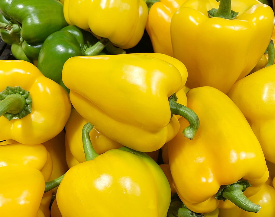 paprika, zelená, žlutá, zelenina, jídlo, zdravý, trh, díkůvzdání, výživa, salát, vegetariánský