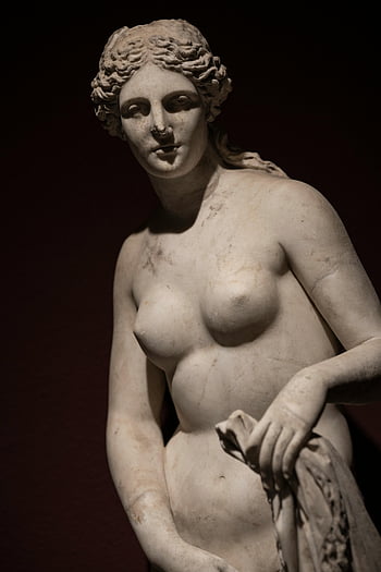 Statua di Afrodite, statua di marmo, donna nuda, sfondo scuro, Fotografia dettagliata, arte classica, scultura antica, figura femminile, storia dell'arte, artefatto culturale, mostra del museo