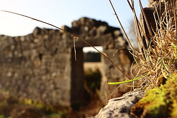 castle, grass, ruins, nature, architecture, landscape, scenery, uk, history