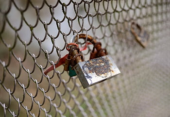 serratura d'amore, lucchetto, simbolo d'amore, castello, amore, innamorato, simbolo, amicizia, promettere, connessione, eternità