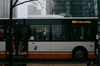 městský autobus, silnice, bezlisté stromy, Brusel, městskou architekturu, Trasa De Brouckère, veřejná doprava, zimní scény, panoráma města, Street View