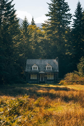 charming cottage, fall forest, autumn trees, rustic cottage, serene landscape, forest setting, autumn scenery, cozy cabin, natural beauty, woodland retreat, peaceful retreat