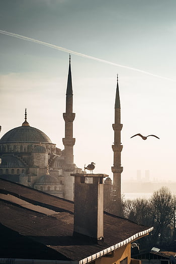 Istanbul, chrám, nebe, kostel, kupole, cestovní ruch, náboženství, islám, mešita, krocan, architektura
