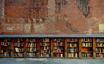 book Shop, books, brick Wall, facade, bookstore, bookshelf, bookcase, second Hand Books, bricks, wall, second Hand