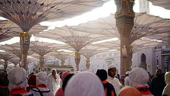 المسجد النبوي،  اشخاص،  الحج،  العمرة،  المدينة المنورة،  دين الاسلام،  مسلم،  يحشد،  دين،  مسجد،  اسلامية