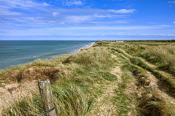 coast, meadow, sea, north Sea, beach, sand Dunes, hirtshals, denmark, horizon, clouds, landscape