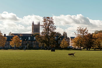 Cambridge-i Egyetem, ősz, főiskolai campus, fák, gyep, építészet, festői kilátás, őszi színek, történelmi épületek, egyetemi okok, angol táj