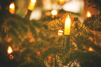 Christmas tree, string lights, warm glow, festive atmosphere, close-up, selective focus, holiday decor, glowing lights, Christmas lights, festive lights, holiday season