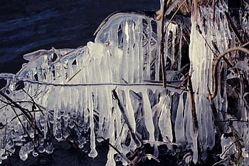 istap, grene, vinter, Frosset, frost, vinterlandskab, isnende, iskrystaller, natur, vand, vintertid