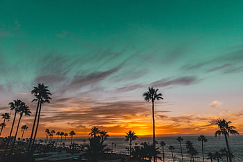 tramonto, spiaggia, natura, mare, oceano, pomeriggio, cielo, paesaggio, albero, alberi, atmosfera