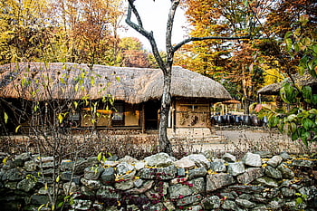 한국 민속촌, 대한민국, 전통, 집, 영인, 민속촌, 초가 지붕 호스, 민속학, 전통적인
