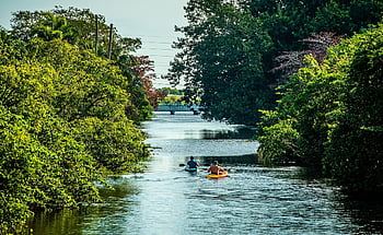kayaking, canoeing, outdoors, kayak, canoe, adventure, water, paddle, boat, nature, leisure