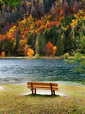 seat, garden Bench, seating, relax, park Bench, outdoors, bank, to Sit, nature, idyllic, wood