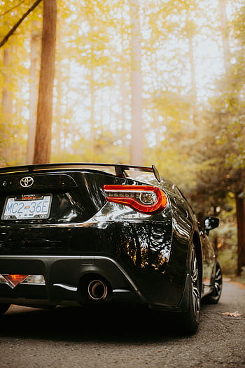 Černá Toyota 86, detail, Elegantní sportovní auto, nastavení lesa, klidný, zpětný pohled, koncová světla, výfukové potrubí, poznávací značka, podzimní stromy, přirozené světlo