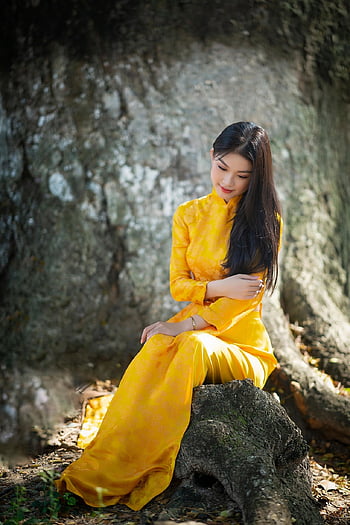 ao dai, Asia, model, wanita Asia, wanita muda, wanita, gaun, gaun panjang, baju tradisional, pemodelan, pose