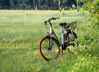 e-bike, bicycle, field, electric Bike, ebike, bike, meadow