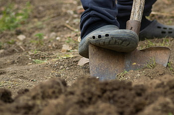 práce na zahradě, kopání půdy, lopata, noha na lopatě, zahradní práce, půda, osoba kopání, venkovní aktivita, zahradní nářadí, detail, zahradnické nářadí