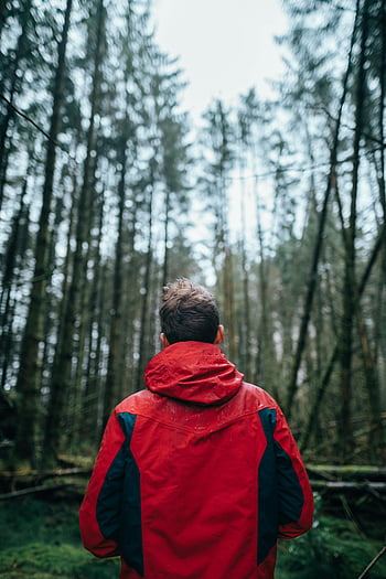 homme en forêt, manteau rouge, veste noire et rouge, forêt luxuriante, le calme de la nature, mise au point peu profonde, debout dans la forêt, photographie en extérieur, exploration forestière, l'homme embrassant la nature, paysage forestier
