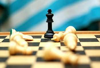 pezzo di scacchi del re nero, scacchiera, pezzi bianchi caduti, scacchi ravvicinati, gioco di scacchi, Strategia di scacchi, pezzi degli scacchi, Victory di scacchi, re degli scacchi, Controllo degli scacchi, Battaglia di scacchi