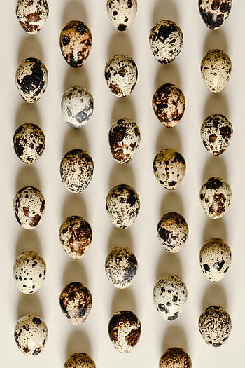 quail eggs, speckled eggs, white surface, top view, arranged rows, minimalist pattern, quail egg pattern, speckled quail eggs, egg arrangement, white background, egg display