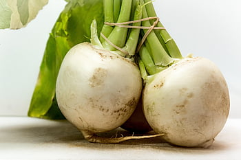turnip, brassica Rapa Subsp, may Turnips, navette, vegetable Plant, edible Root, meal, food, nourishment, tasty, healthy
