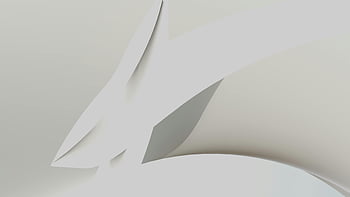 abstraktní bílý tvar, Elegantní křivky, minimalistický vzor, měkké pozadí, bílý papír, abstraktní umění, moderní design, soudobé umění, čisté linky, geometrické tvary, abstraktní sochařství