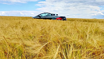 convertible, car, vehicle, automobile, summer, transport, peugeot, peugeot 307, peugeot 307 Cc, peugeot 307cc, coupe