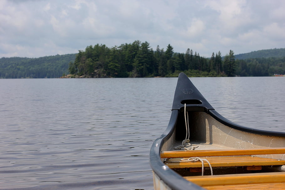 canoe, excursie, copaci, Algonquin, liniștit, apă, cer, natură, albastru, verde